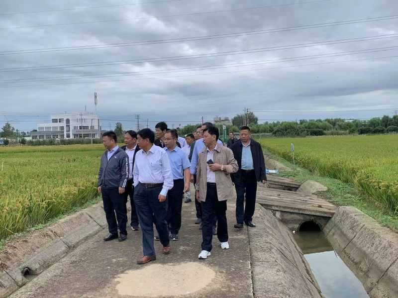粮食专业合作社：现代农业中的协作力量